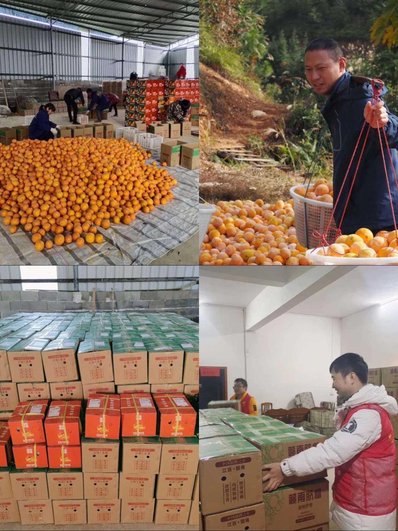 1703813216713509.jpg 876bcd5c94d0b5da546eddff85c4f3d.jpg